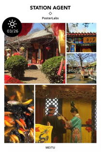 澳门最精准的龙门客栈电话|探索古镇风情与美食之旅_DX.8.435