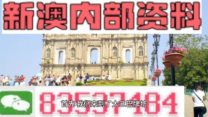 新澳2024年最新消息公布|动态分析解释落实_Gold.5.483